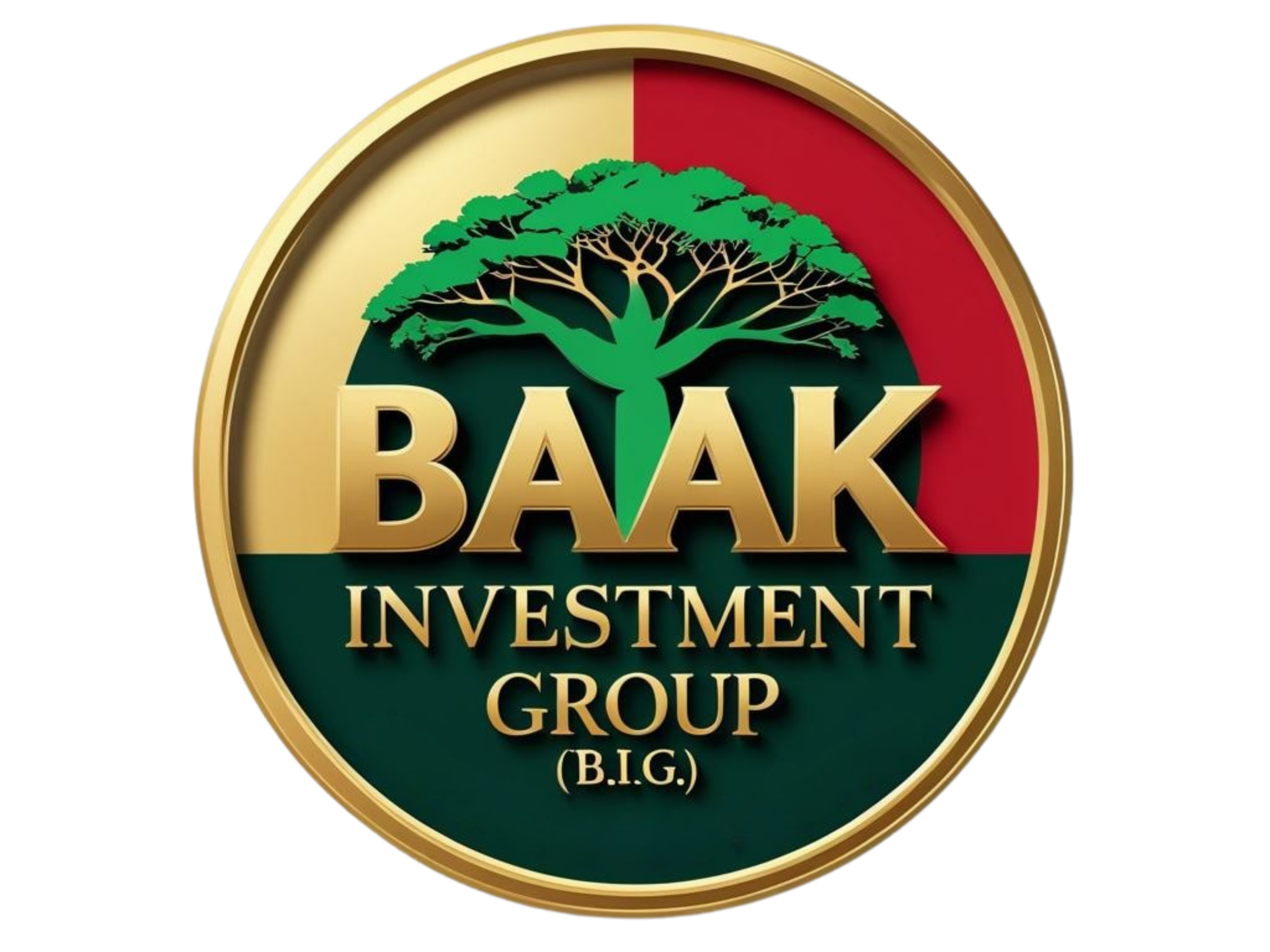 Baak Investment Group